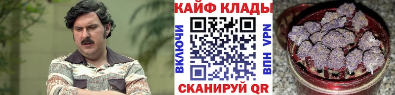 Где можно купить наркотики Снежногорск АМФЕТАМИН  Экстази  Alpha PVP  Меф мяу мяу  Гашиш  Cocaine 